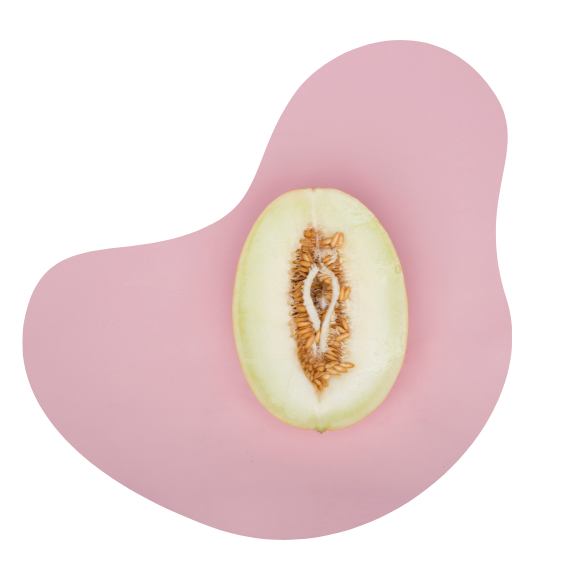 Vagina vs Vulva